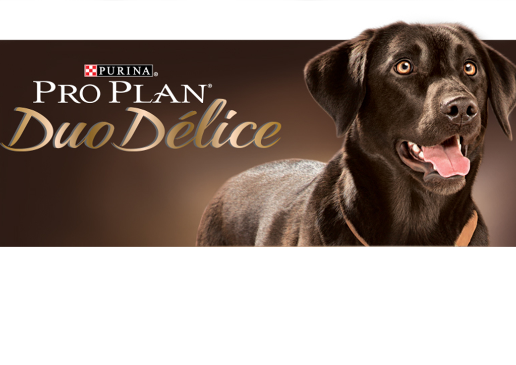 purina pro plan duo delice