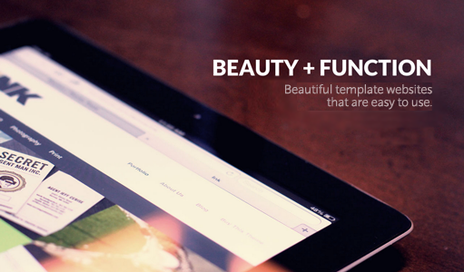 beauty and function of websites